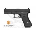 G17 E017 (EP0317) POLYMER EVOLUTION