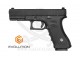 G17 E017 (EP0317) POLYMER EVOLUTION
