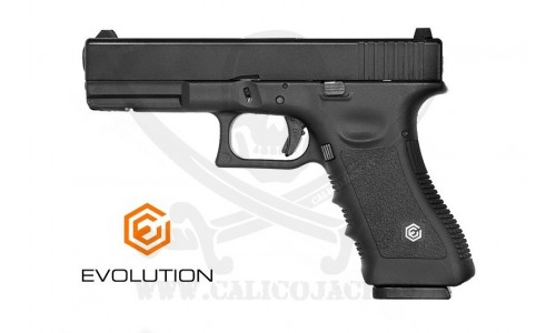 G17 E017 (EP0317) POLYMER EVOLUTION