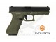 G17 E017 (EP0317) POLYMER EVOLUTION