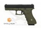 G17 E017 (EP0317) POLYMER EVOLUTION