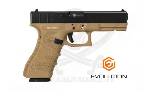 G17 E017 (EP0317) POLYMER EVOLUTION