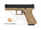 G17 E017 (EP0317) POLYMER EVOLUTION