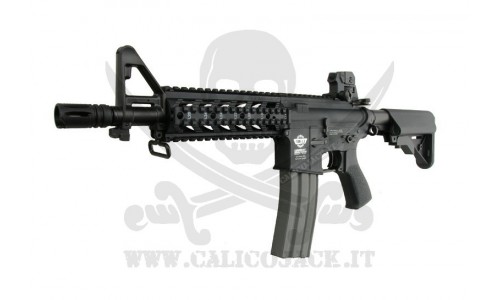 CM16 RAIDER G&G