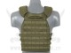 DEFENSE PLATE CARRIER OD