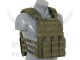 DEFENSE PLATE CARRIER OD