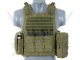 AAV FSBE ASSAULT VEST V2 OD