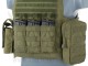 AAV FSBE ASSAULT VEST V2 OD