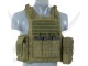 AAV FSBE ASSAULT VEST V2 OD