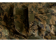 REVENGER TDU INVADER GEAR MARPAT