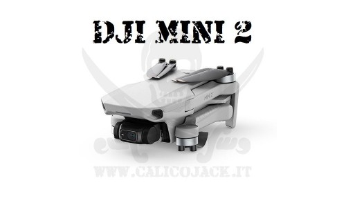 DJI MINI 2 
