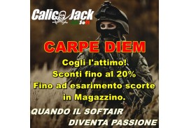 CARPE DIEM OFFERS - "Get the moment of the offer until stocks last"
