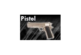 PISTOLS